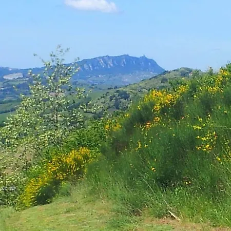 Artemusica * Montefiore Conca